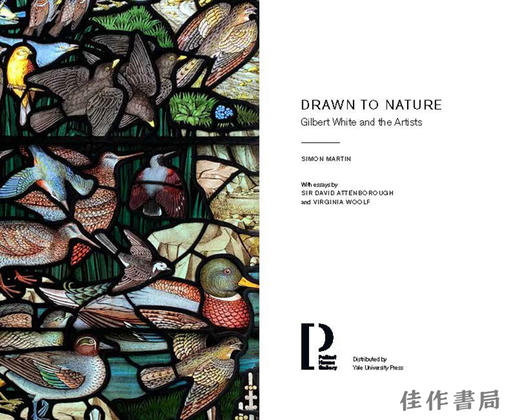 Drawn to Nature: Gilbert White and the Artists / 被大自然吸引：吉尔伯特·怀特与艺术家 商品图1