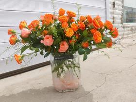 小灵感+橙色芭比