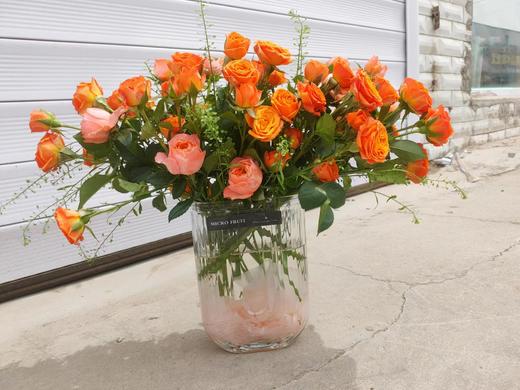 小灵感+橙色芭比 商品图0