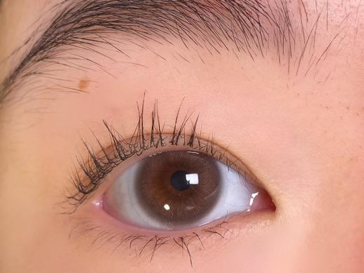 Aromi一副2片-Lucency BROWN小水泡棕 商品图10