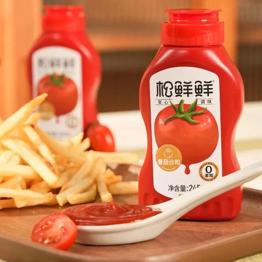 松鲜鲜番茄沙司245g 商品图0