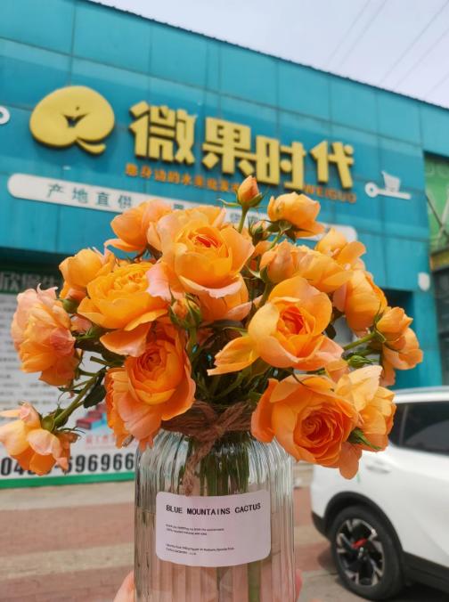 阳光芭比花束 商品图0