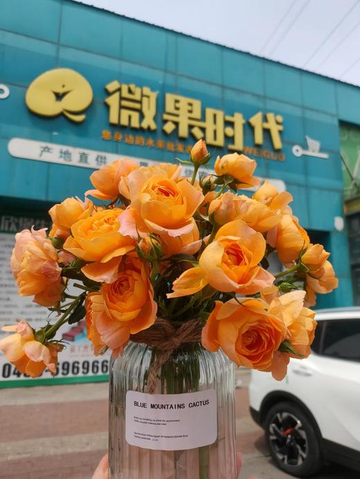 阳光芭比花束 商品图2