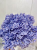 【干花~永生花】绣球（蓝紫色）单枝 商品缩略图0