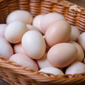 生态河北鸡蛋 （团购） | 合作生产 * Ecological Eggs | Coproduction