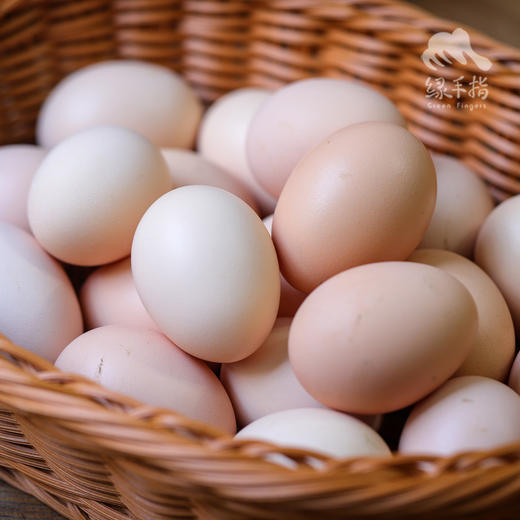 生态河北鸡蛋 （团购） | 合作生产 * Ecological Eggs | Coproduction 商品图0