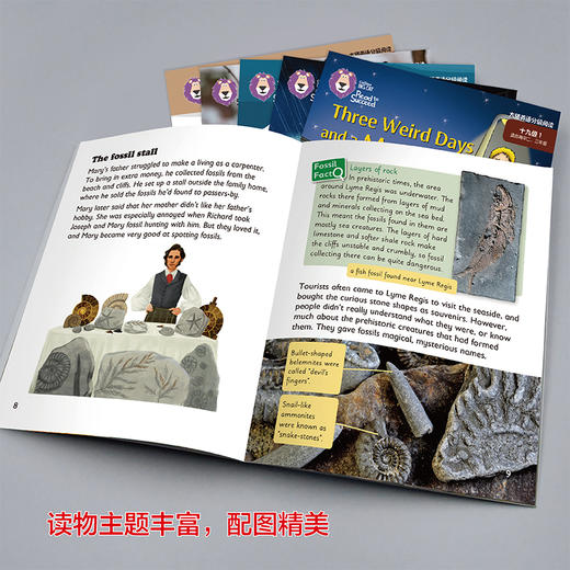 大猫英语分级阅读十九级1(适合高中二、三年级学生)(5册读物+1册指导) 商品图4