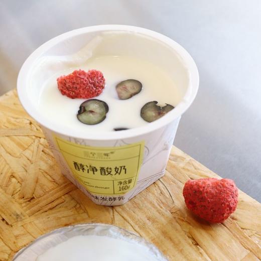 0蔗糖·三个三年醇净酸奶 新疆老酸奶味道 商品图3