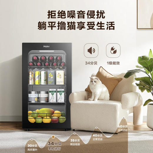 海尔（Haier）冰吧 DS092LHESD1 商品图5