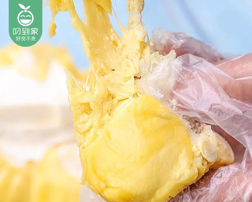 榴小丑泰国猫山王冷冻榴莲肉/1包（约500g） 商品图4