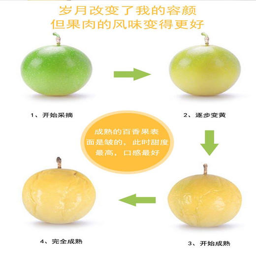 海南树上熟-蜂蜜黄金百香果 商品图8
