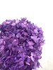 【干花~永生花】绣球（紫色）单枝 商品缩略图1