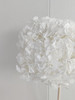 【干花~永生花】大叶绣球（白色）单枝 商品缩略图4