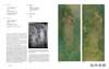 Thomas Wilmer Dewing: Beauty into Art: A Catalogue Raisonne / 美国画托马斯·威尔默·德温作品全集：艺术之美 商品缩略图3