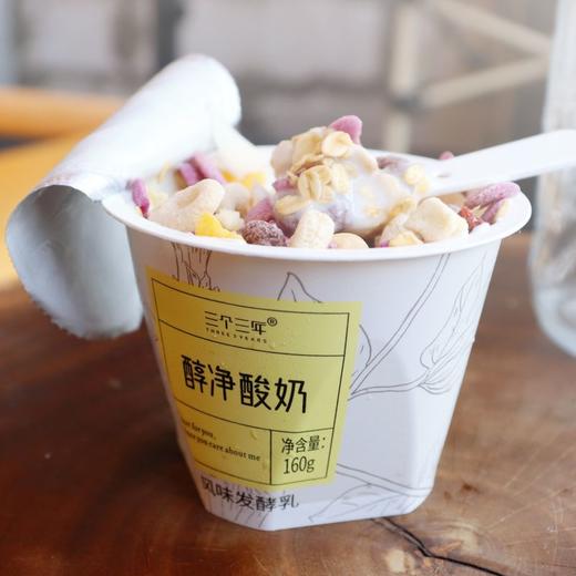0蔗糖·三个三年醇净酸奶 新疆老酸奶味道 商品图2