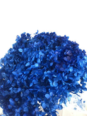 【干花~永生花】绣球（宝蓝色）单枝