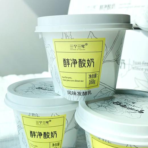 0蔗糖·三个三年醇净酸奶 新疆老酸奶味道 商品图4