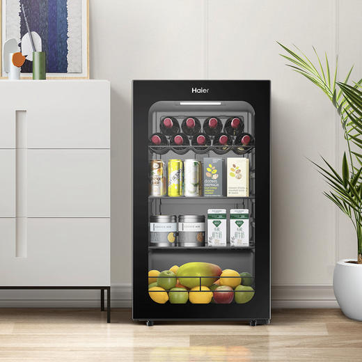 海尔（Haier）冰吧 DS092LHESD1 商品图0