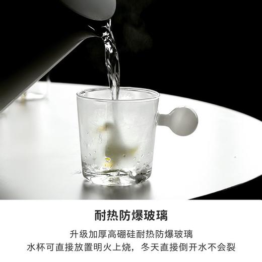 ins风设计小众高级感动物男女生个人专用办公室喝咖啡玻璃水杯子 商品图2
