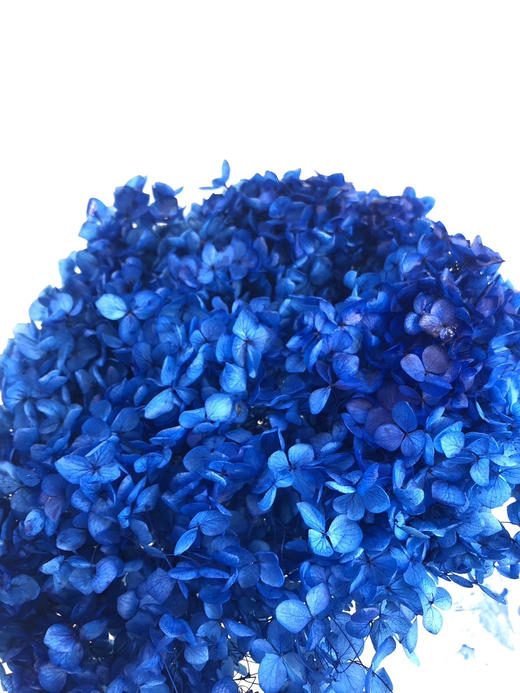 【干花~永生花】绣球（宝蓝色）单枝 商品图1