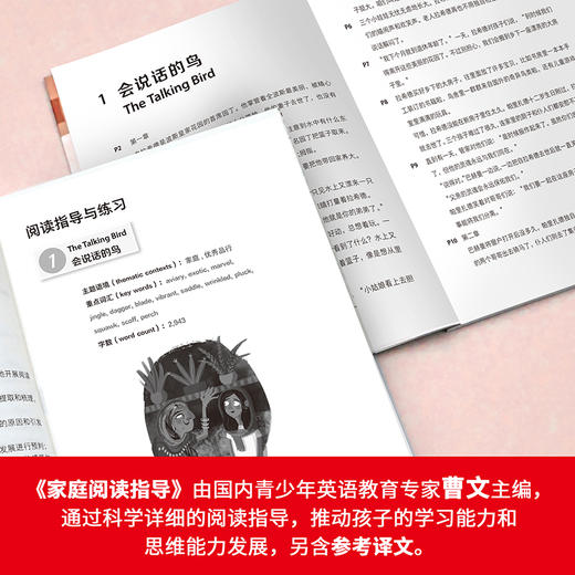 大猫英语分级阅读十五级1(适合初三、高一年级学生)(5册读物+1册指导) 商品图5