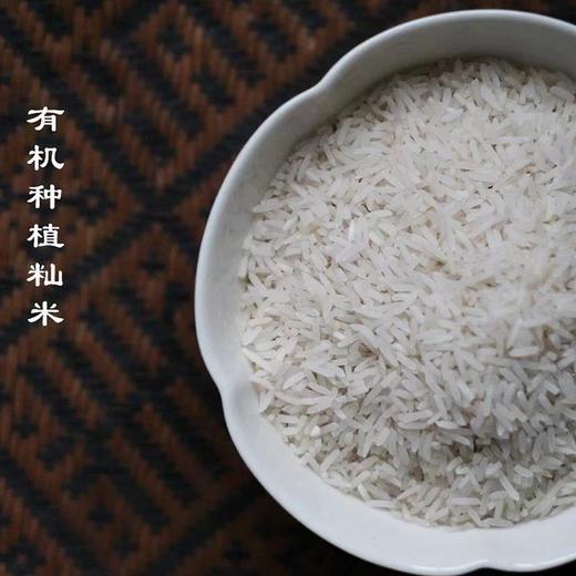 杞冠严选 | 黄山 七约农场有机种植 2024新籼米（软香丝苗米）山泉水灌溉 口感特别好 商品图1