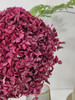 【干花~永生花】绣球（紫红色）单枝 商品缩略图2