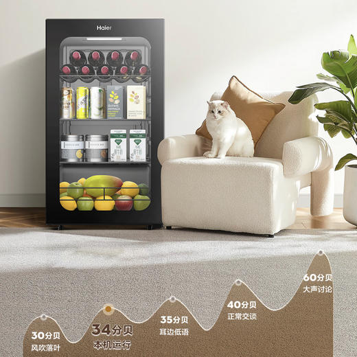 海尔（Haier）冰吧 DS092LHESD1 商品图9