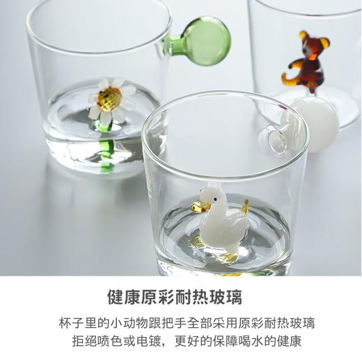 ins风设计小众高级感动物男女生个人专用办公室喝咖啡玻璃水杯子 商品图3