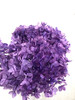 【干花~永生花】绣球（紫色）单枝 商品缩略图0
