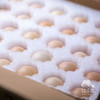 生态河北鸡蛋  | 合作生产 * Ecological Eggs | Coproduction 商品缩略图3
