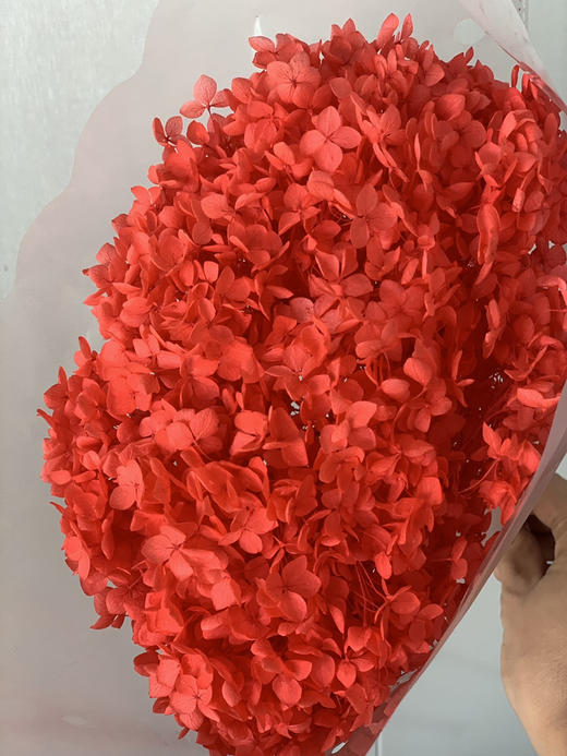 【干花~永生花】绣球（鲜红）单枝 商品图1