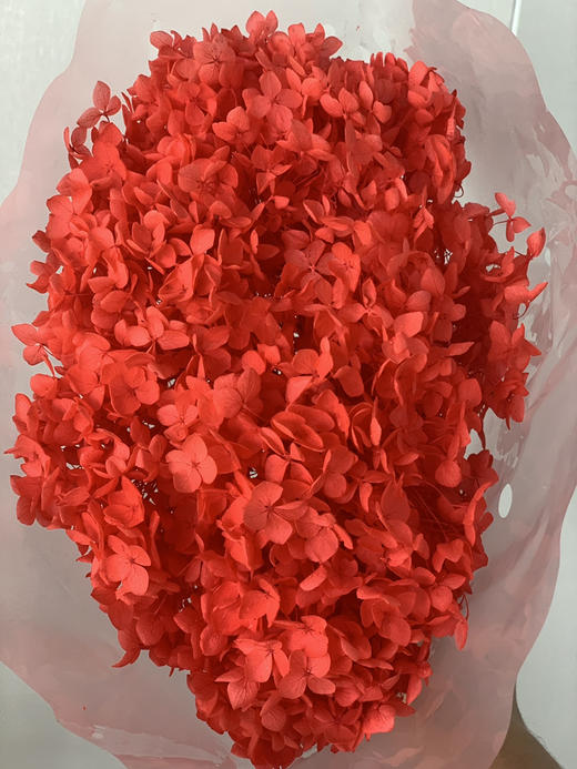 【干花~永生花】绣球（鲜红）单枝 商品图0