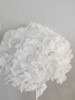 【干花~永生花】大叶绣球（白色）单枝 商品缩略图6