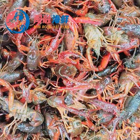 鲜活小龙虾 /斤 商品图0