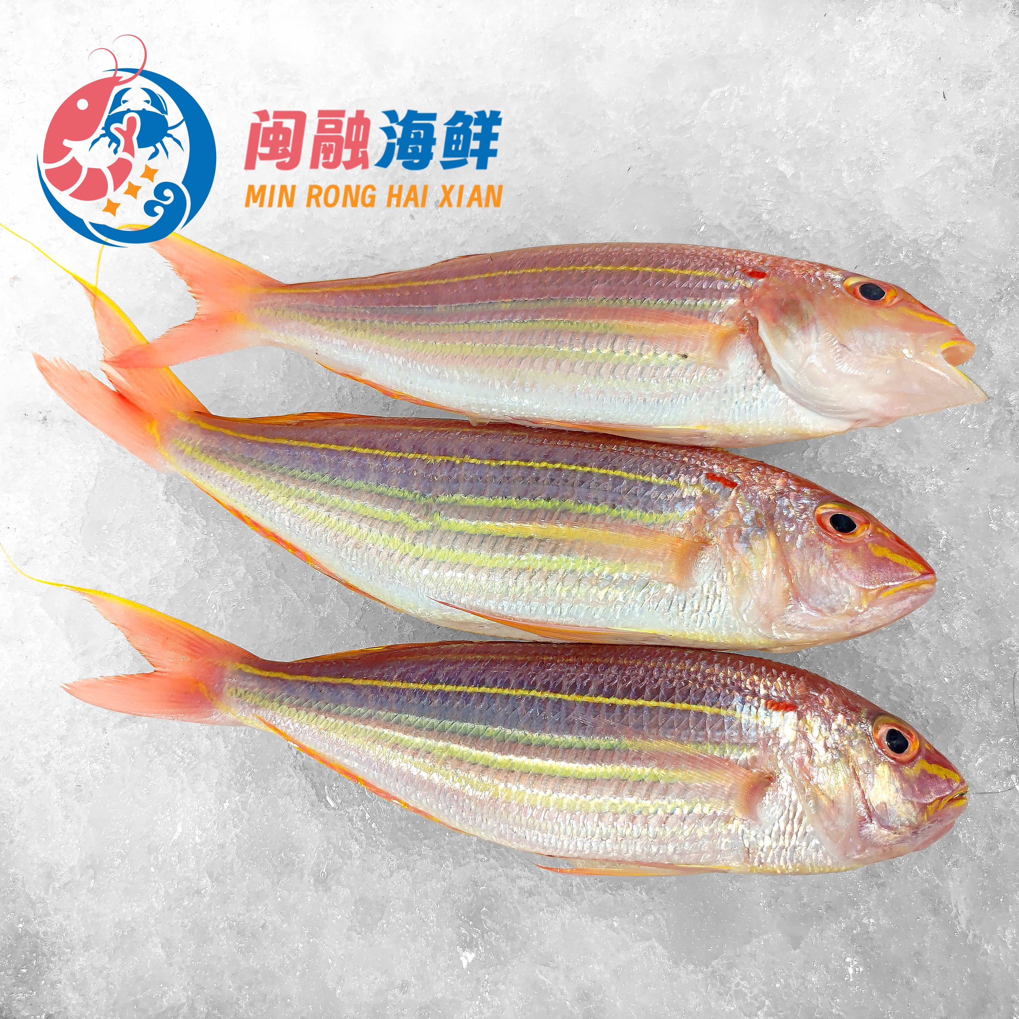 冰鲜红杉鱼 /斤