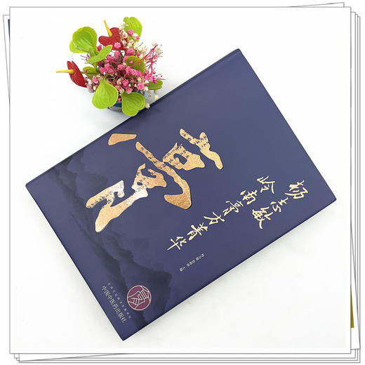 杨志敏岭南膏方菁华  杨志敏 管桦桦 著  中国中医药出版社   中国膏药学 膏方书籍 商品图2