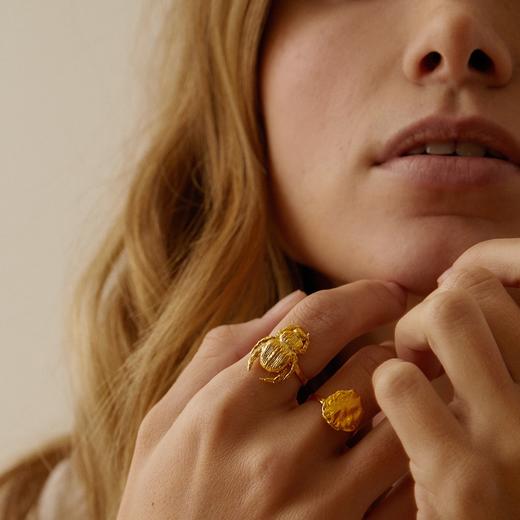 订购8周｜Elise Tsikis-IEPA-甲虫 金色 戒指［美国设计师］ 商品图5