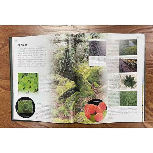 DK探索生命 7-14岁 约翰·伍德沃德 著 科普百科 商品图1