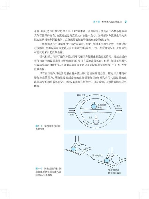 机械通气精要 英文版第4版 袁月华 译 机械通气临床应用指南 基本知识临床思路 常见疾病治疗原则9787547860717上海科学技术出版社 商品图3