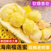榴莲蜜海南原产地直发不打药不催熟8-14斤果 商品缩略图2