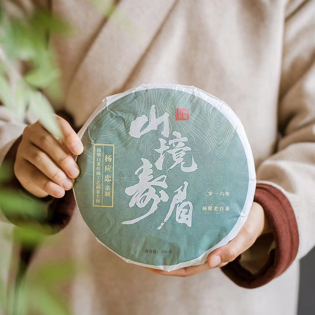 买一送一！养生王炸cp，正宗福鼎老白茶+新会陈皮，滋养生息！