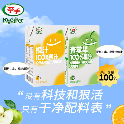 【随时随地补充营养！青苹苹果果汁100%果汁】果香浓郁自然清香，保留着苹果汁的自然清香，让早餐充满营养，饮料饮品健康 商品图5