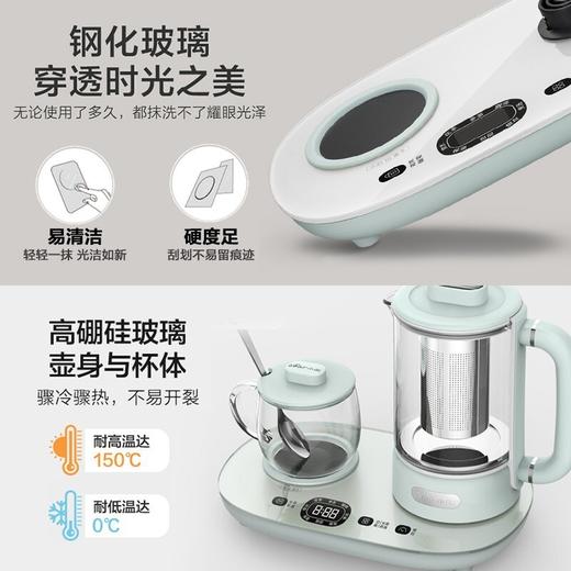 小熊（Bear） 养生壶组合套装0.3L养生杯恒温杯 多功能迷你煮茶器办公室家用花茶壶煮茶壶烧水壶煮水壶 泡煮暖饮三合一 YSH-C06N1 商品图4