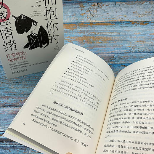 拥抱你的敏感情绪 疗愈情绪 接纳自我 伊米·洛 著 心理学 商品图0