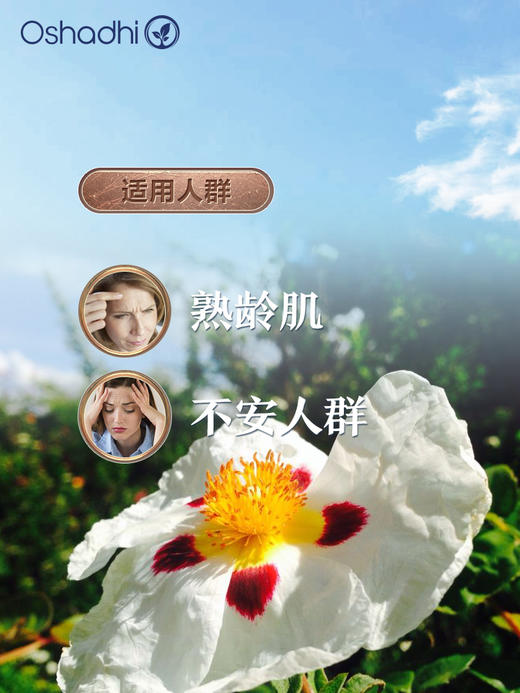 德国O家岩玫瑰精油 护肤精油 稀释做面部精华油 身体按摩油 商品图1