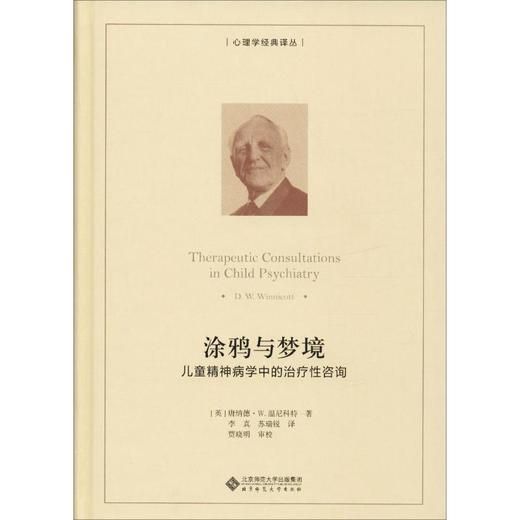 涂鸦与梦境:儿童精神病学中的治疗性咨询 商品图0