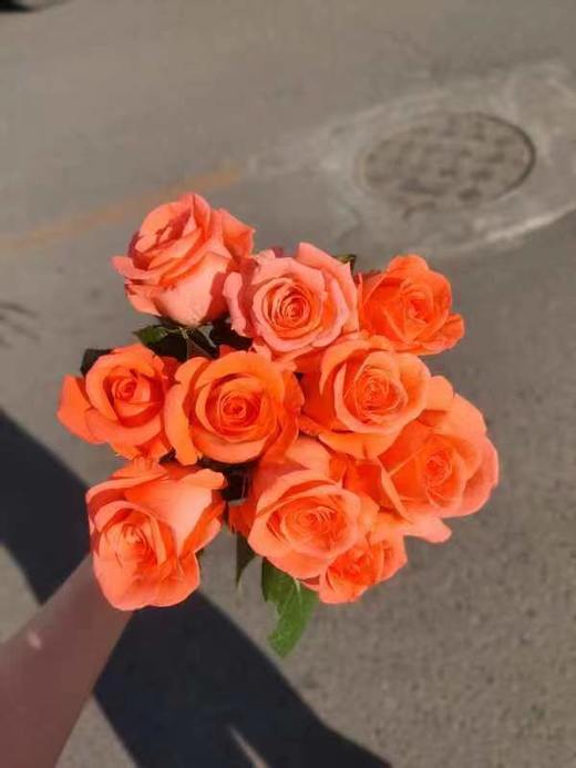 自带光芒的玫瑰花束（拼团） 商品图1