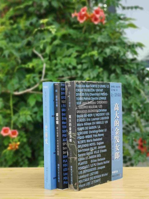 午夜文丛：《高大的金发女郎》《望远镜：新小说新一代作家作品选》《史前史:新小说新一代作家作品选2》，[法]让.艾什诺兹、埃里克.舍维拉尔、帕.德维尔等著，湖南文艺出版社1999-2002年一版一印， 商品图0