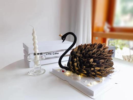 黑天鹅 商品图0